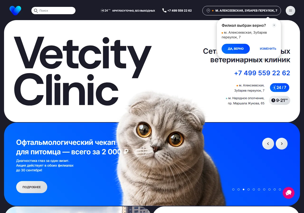 Скриншот главной страницы сайта Vetcity Clinic